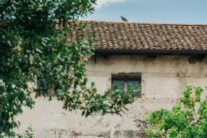 Bien en VEFA ou bien ancien : quelles différences ?